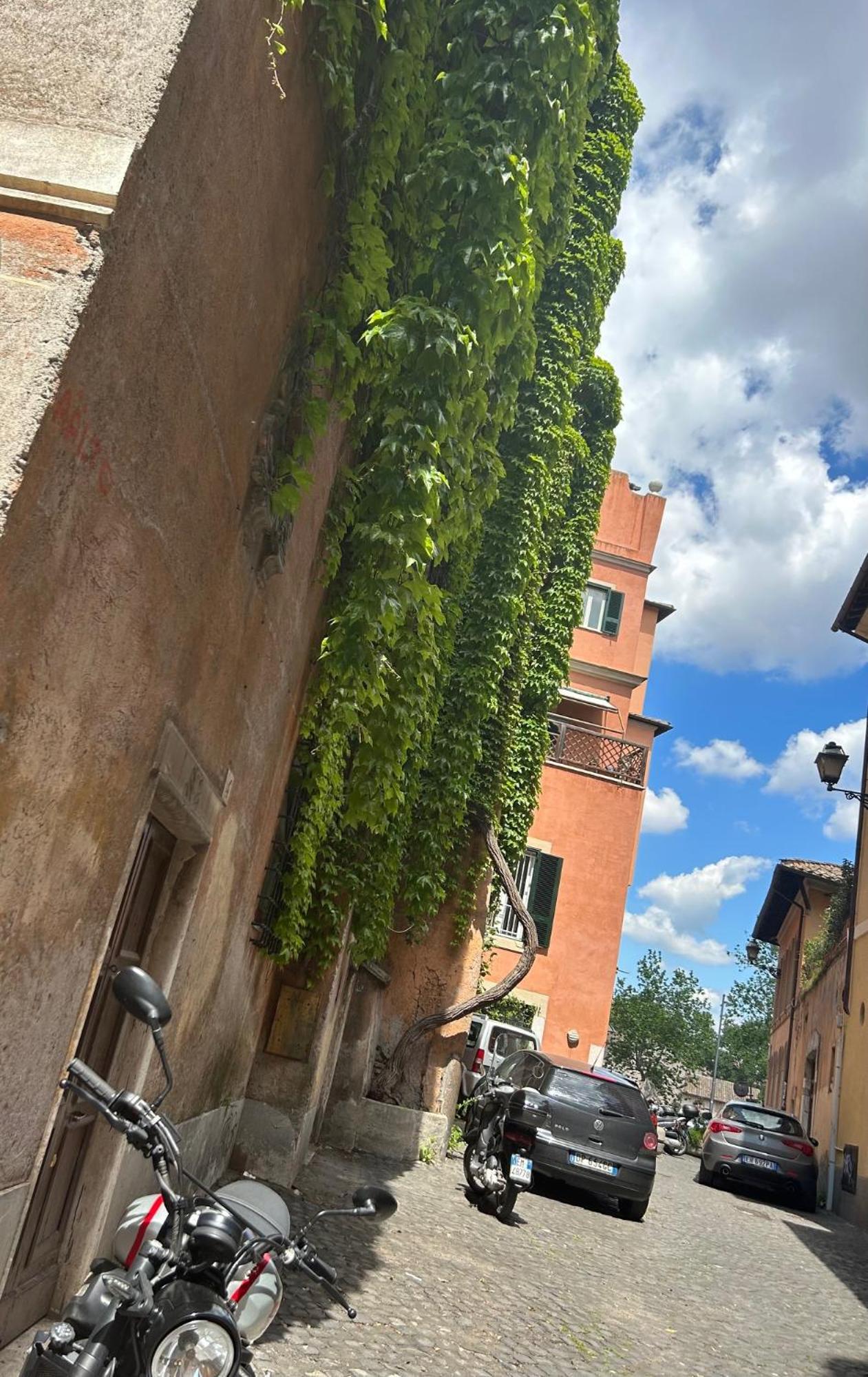 Garden House Trastevere Rom Exterior foto